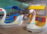 Vịt đạp nước
